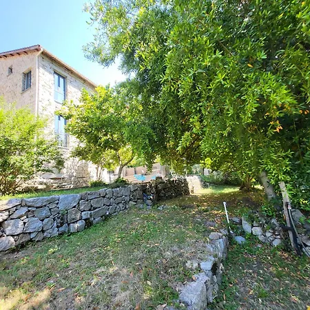 A Bella Scusa-2