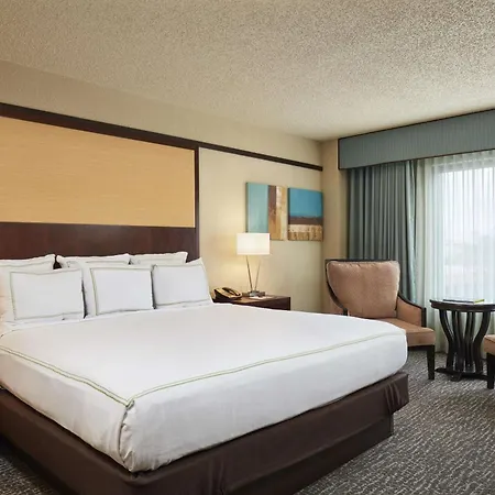 Doubletree By Hilton Orlando Theme Park Resort-2