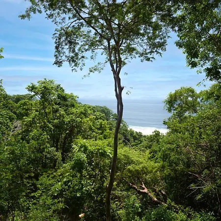 Cocolia Hotel - Only Adults-3