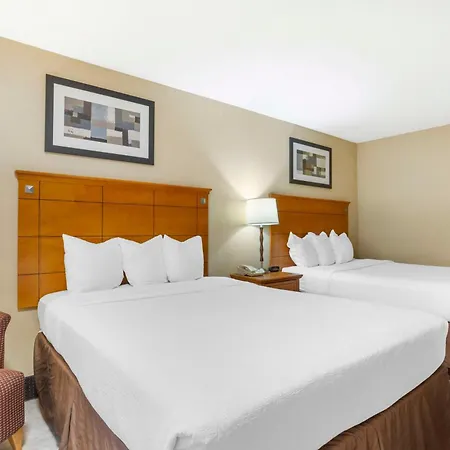 Best Western Danbury/Bethel-3