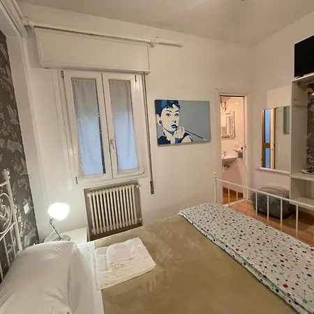 Madam Treviso-2