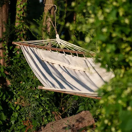 Die Finca-3