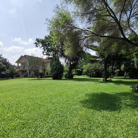 Garden Escape-2