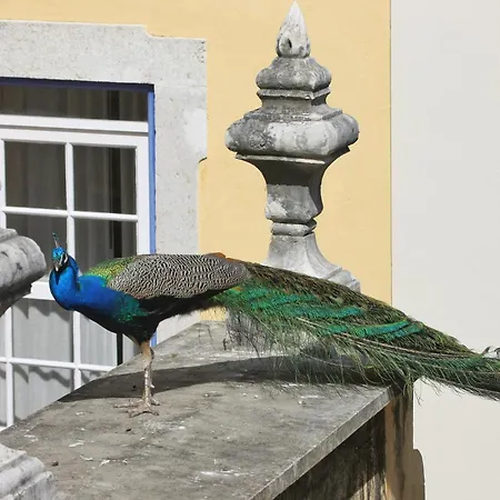 Solar Do Castelo - Lisbon Heritage Collection - Alfama-2