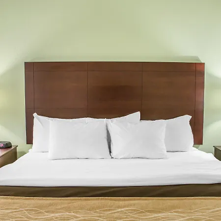 Comfort Inn Lexington South-3