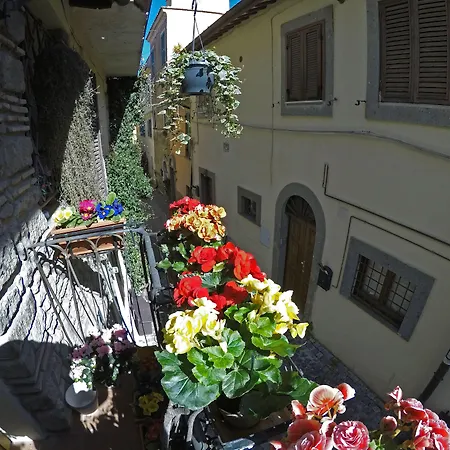 Atlantis Inn Castelgandolfo-3