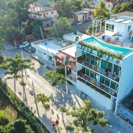 Ocean Zen Suites On 5Th Avenue - Adults Only-2