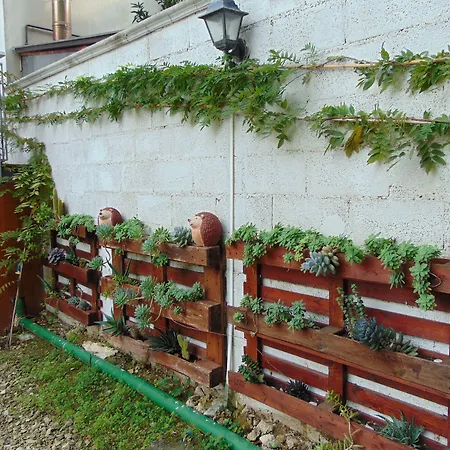 B&B Falcone-2