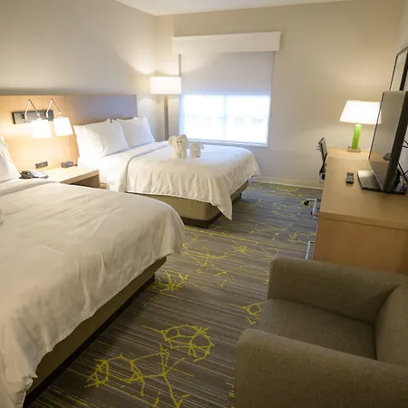 Holiday Inn Willowbrook Houston Nw-3