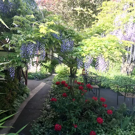 Arden Forest Inn-2