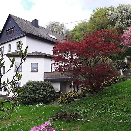Ring Inn Nürburg-3