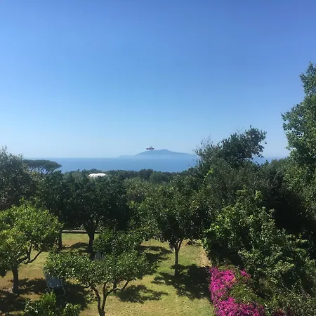 Hotel Al Mulino - Mediterranean Garden Retreat In Anacapri-3