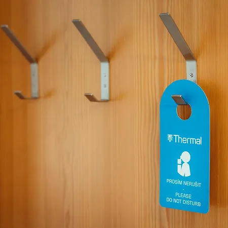 Hotel Thermal-3