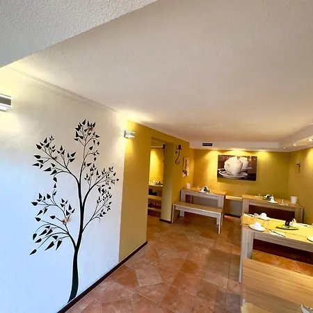 Europa Pension zum Grünen Baum-2