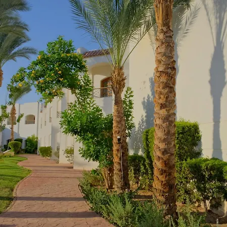 Coral Hills Resort Sharm El-Sheikh-3
