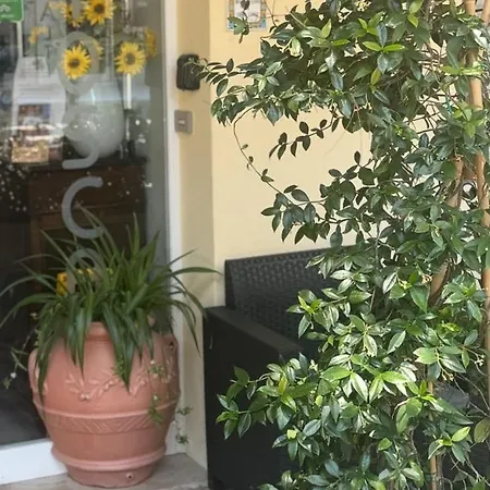 Hotel Garni Tosca-3