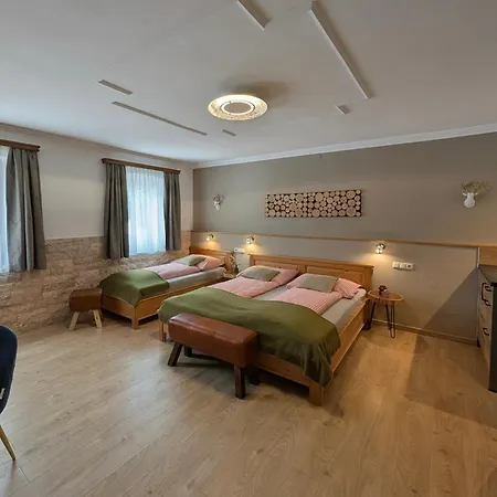Hotel Apartment Auwirt-3