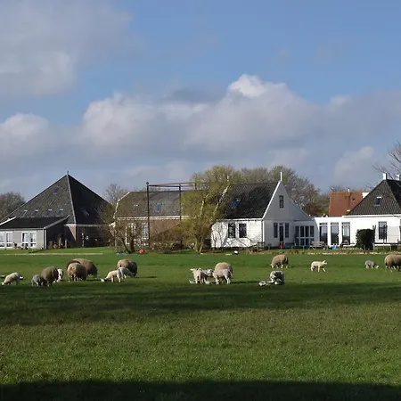 Amsterdam Farmland-3
