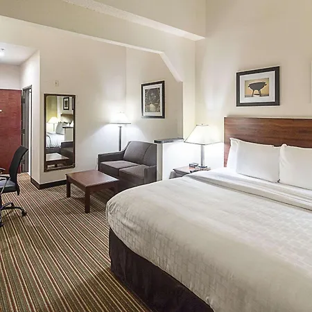 Quality Inn & Suites West Chase-3