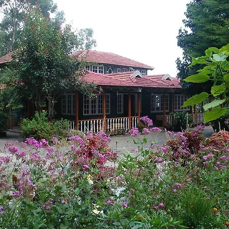 Lilly'S Valley Resort-3
