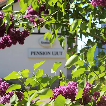 Pension Ujut-2