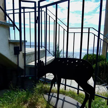 Le Giuee-2