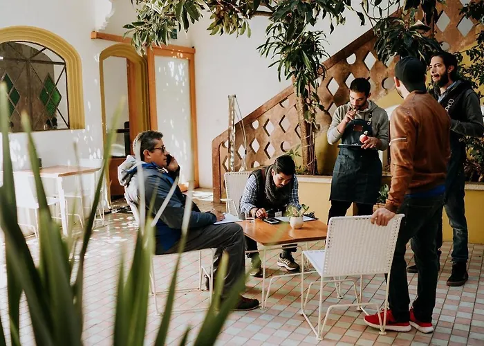 Casa Cafeólogo