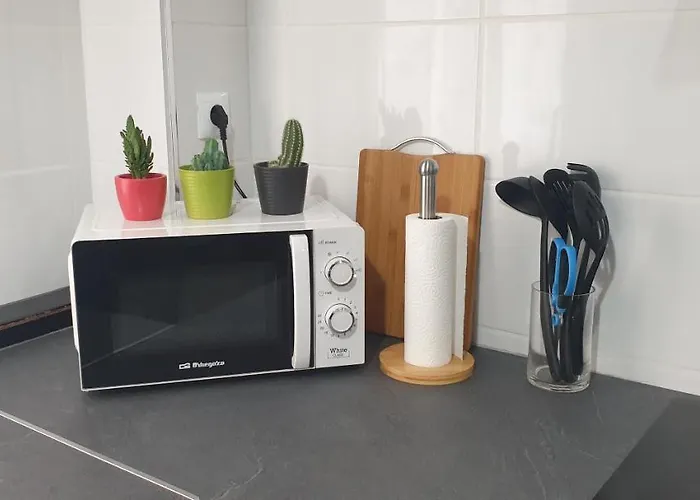 Apartamentos Leman