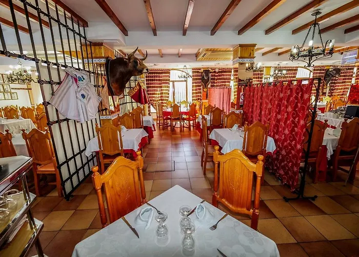 Hotel Flor De La Mancha