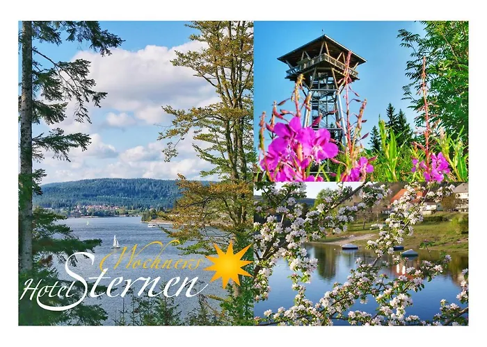Wochner'S Hotel-Sternen Am Schluchsee Hochschwarzwald
