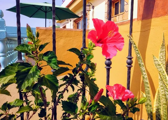 Apartamentos San Jose