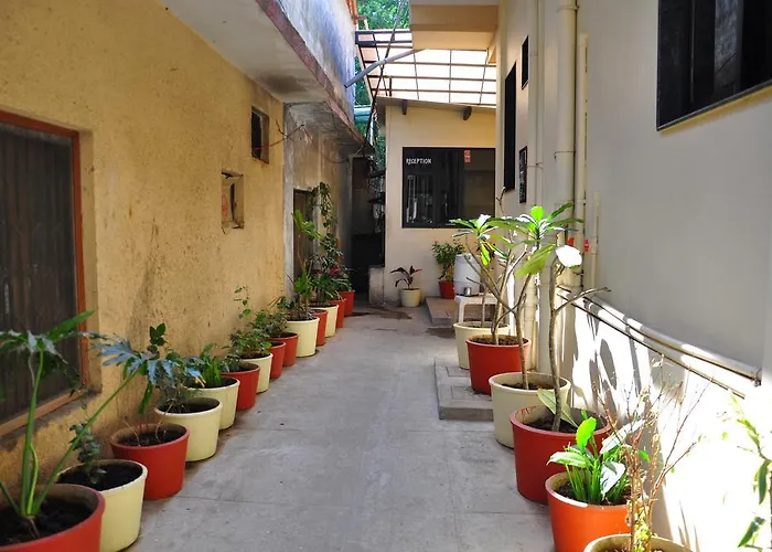 Hotel Oasis