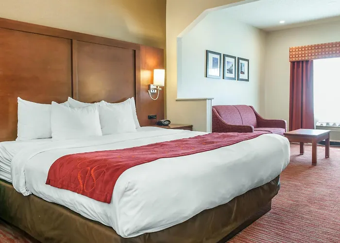 Comfort Suites Columbus Expo Center