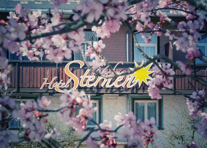 Wochner'S Hotel-Sternen Am Schluchsee Hochschwarzwald