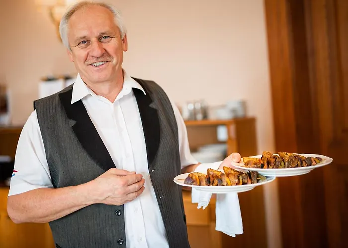 Wellness Hotel Zamecek