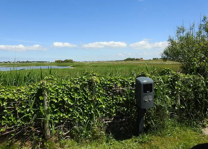 De Hut, in Natuurgebied en vlakbij het Strand