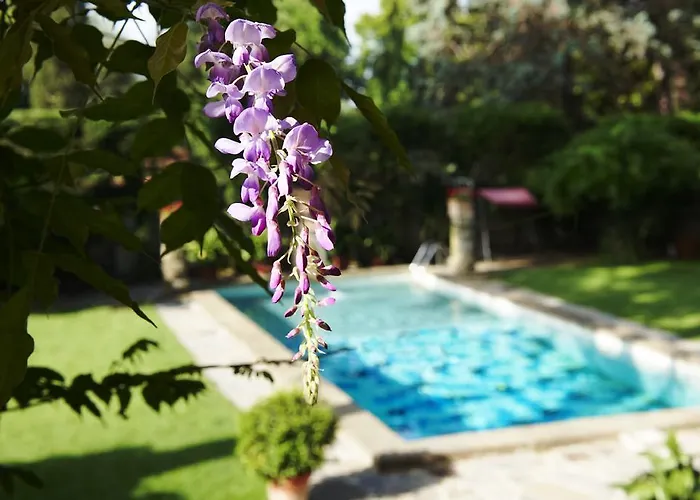 Park Palace Hotel Florença