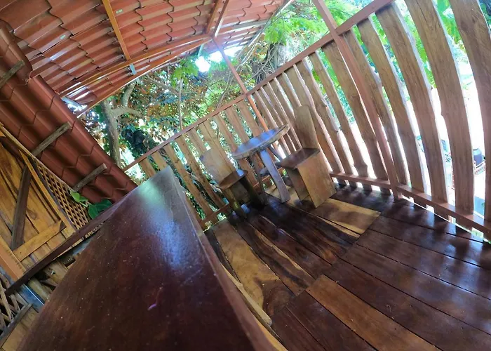 Tree House Samanea Lodge