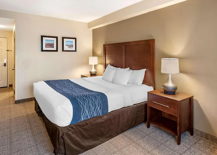 Comfort Inn & Suites Virginia Beach - Norfolk Airport