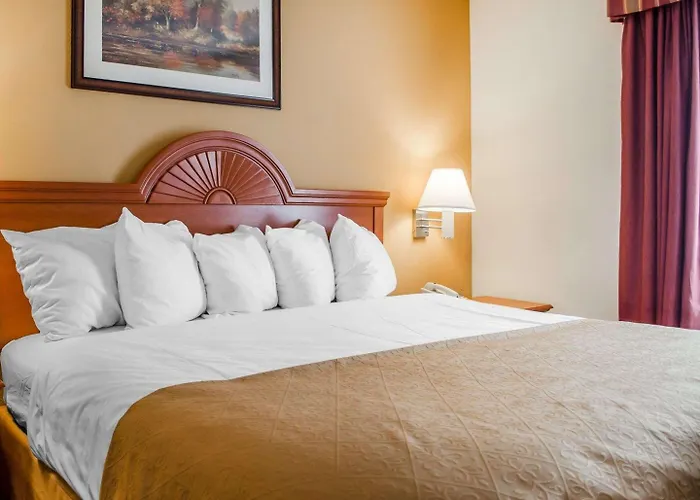 Quality Inn & Suites