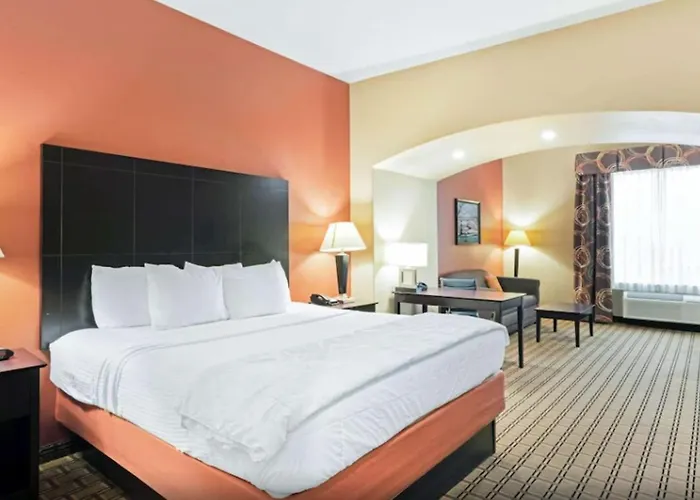 La Quinta By Wyndham Mcalester