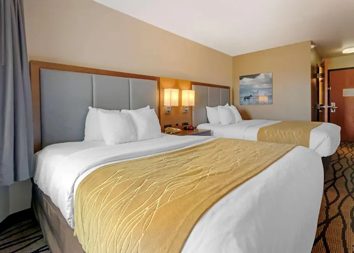 Comfort Inn & Suites Market - Airport