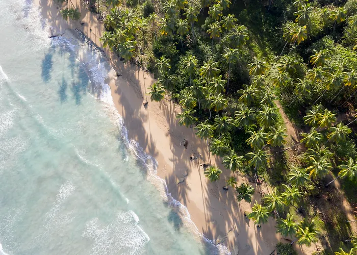 Saman Boutique Hotel By Mint Las Terrenas