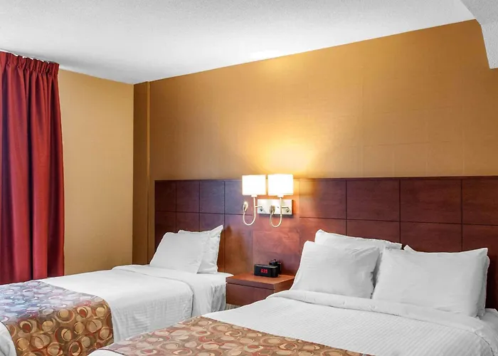 Quality Hotel & Suites