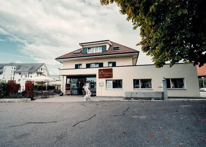 Hotel Roessli Luterbach