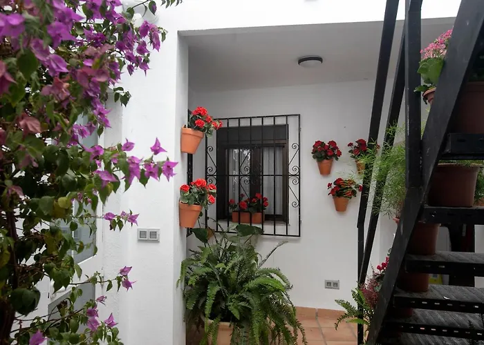 Vitium Cordoba