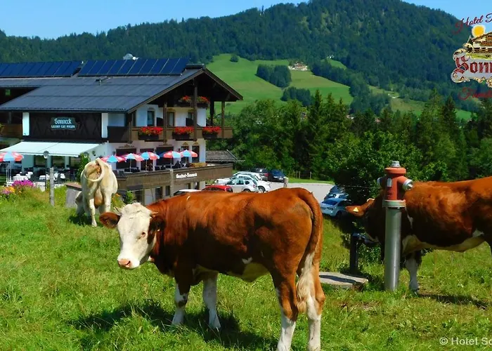 Hotel-Gasthof-Sonneck
