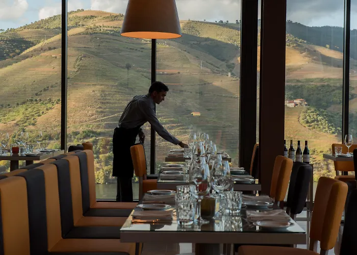 Vila Gale Douro Vineyards