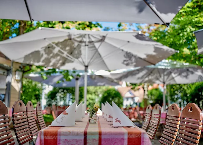 Ringhotel Gasthof Hasen