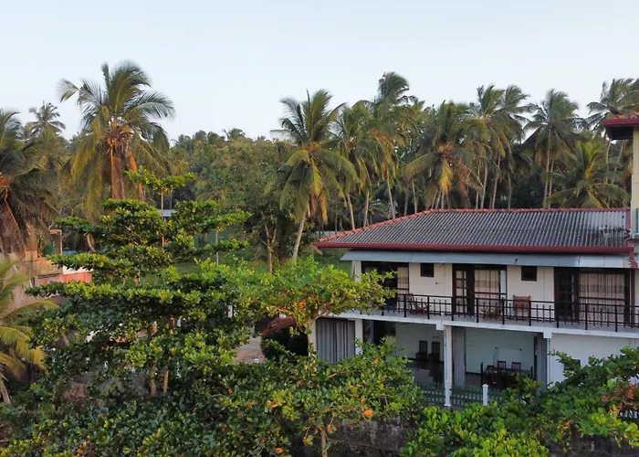 Mango Shade, Hiriketiya